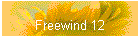 Freewind 12