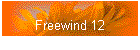 Freewind 12